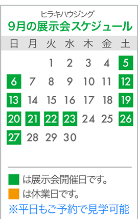 �q���L�n�E�W���O�W����X�P�W���[��